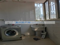 其它图
