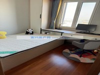 其它图
