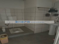 其它图