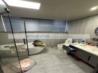 其它图