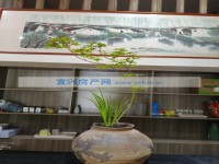 其它图