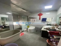 其它图