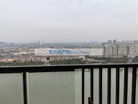 其它图