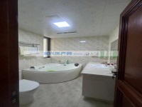 其它图