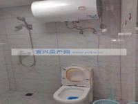 其它图