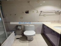 其它图