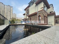 其它图