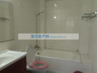 其它图
