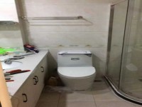 其它图