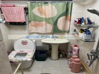 其它图