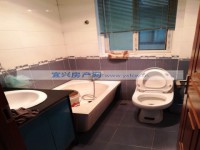 其它图