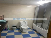 其它图