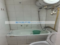 其它图