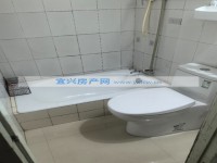 其它图