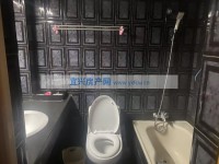 其它图