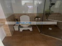其它图