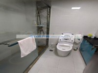 其它图