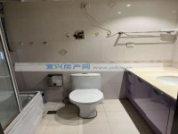 其它图
