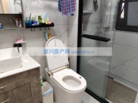 其它图