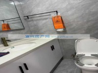 其它图