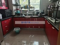 其它图