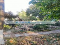 其它图