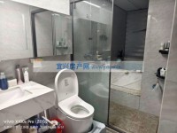 其它图