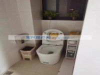 其它图
