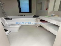 其它图