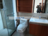 其它图
