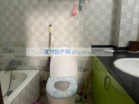 其它图