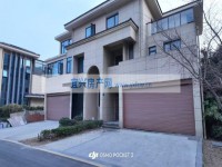 其它图