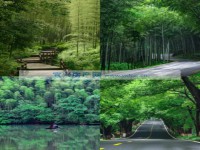 其它图