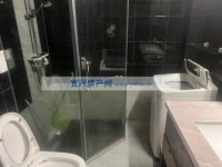 其它图