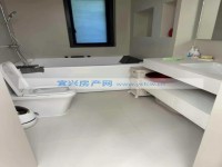 其它图