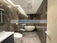 其它图