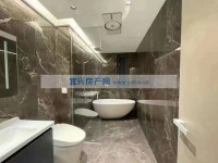 其它图