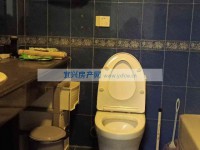 其它图