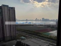 其它图