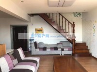 其它图