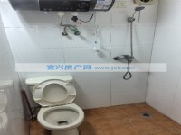 其它图