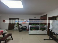 其它图