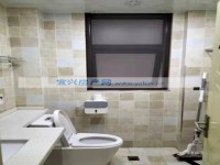 其它图