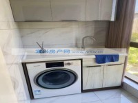 其它图