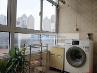 其它图