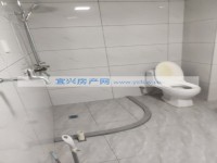 其它图