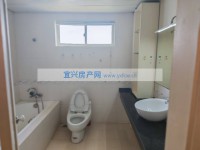 其它图