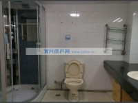 其它图