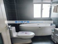 其它图