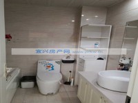 其它图